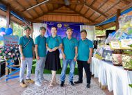 TÂN XUÂN CÙNG GẠO KIM SÁNG